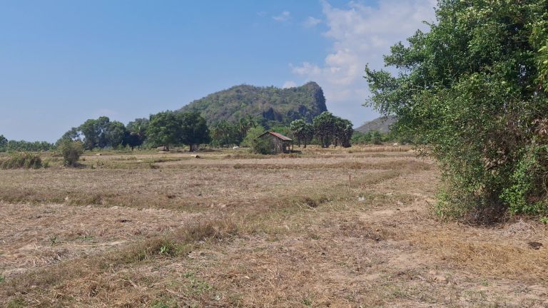 Dry rice fields near limestone hills outside Kampot before the rains