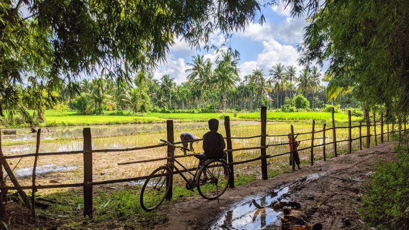 Best Time to Visit Kampot