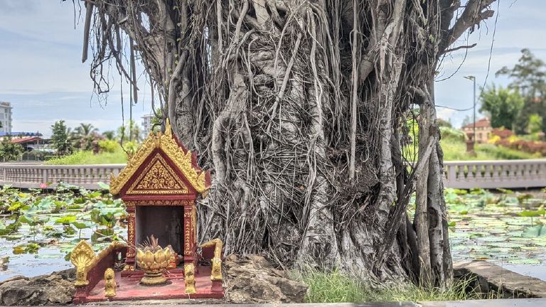 Spirit house at a banyan tree in Kampot, Cambodia