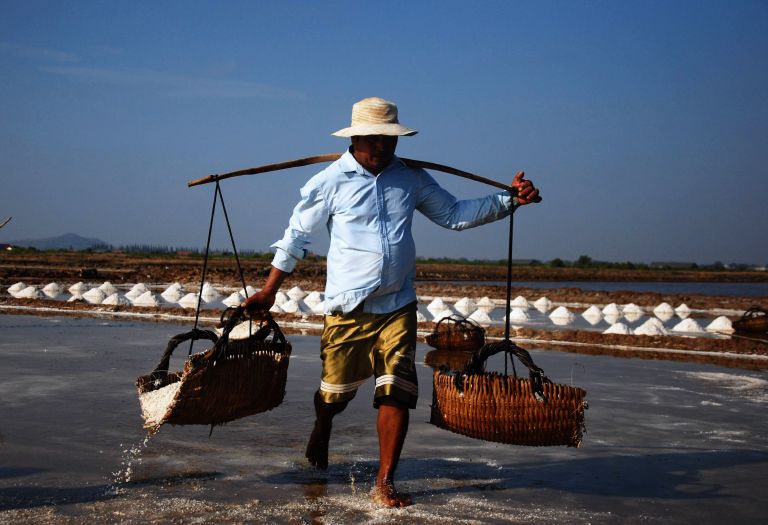 Salt harvest in the fields near Kampot