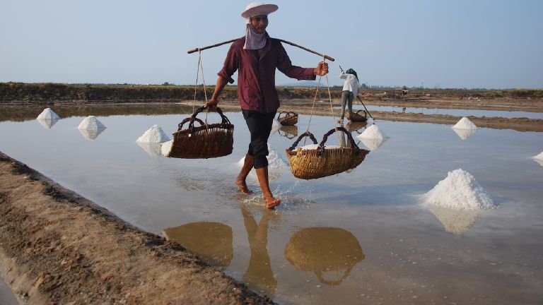 Salt workers spreading crystals across the Kampot salt pans at sunrise.